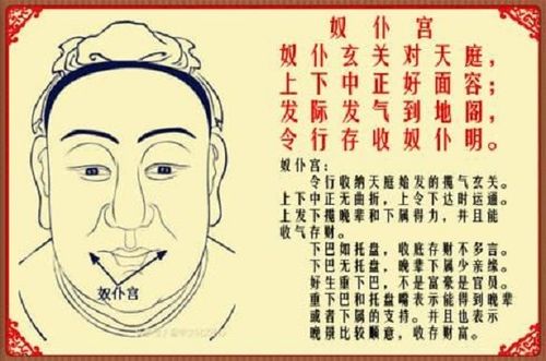 2. 太阴星入奴仆宫：女性群体社交网络特征解析