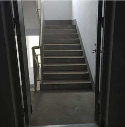 第二章：气流、 光照与阳气的综合影响分析