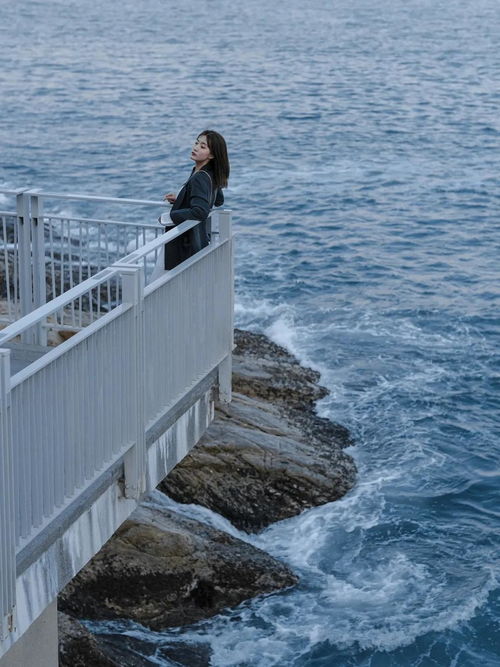 日照的海边全是泥