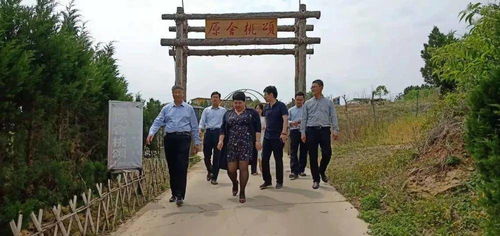一、  核心城区内学术导向与正念训练的实践路径