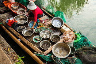 美食：吃不死就行