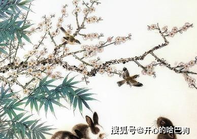 羊咩咩：稳稳的幸福，躺赢人生！