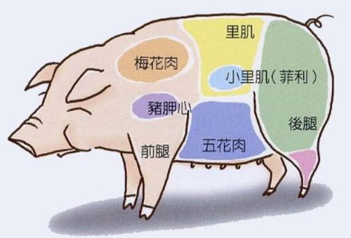 从吃相看同事性格