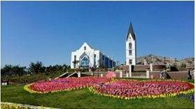 藏马山の奇幻漂流：2026年蛇生肖大凶之年千万别去！