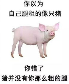 2. 猪（憨厚但缺乏主动）