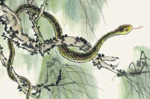 属蛇人五月份财运如何？财运解析具体是什么？