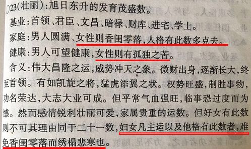 典型案例分析