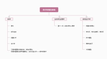 学习基础：从基础知识入手