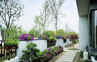 四、  植物生克原理的应用