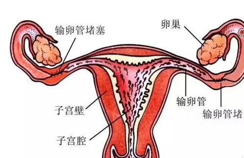 第五章：诊断迷雾中的线索——怎样辨别不同类型的糜烂