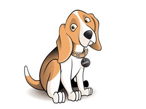 2026年属狗人的运势详解及全年运势如何？