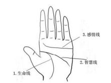 三、事业线的形态与女性经商命运