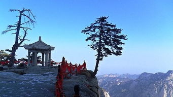 重庆到华山自驾游：一场说走就走的“自我放逐”