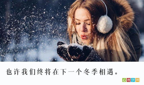 ：一场悲剧的开端与萦绕不去的困惑