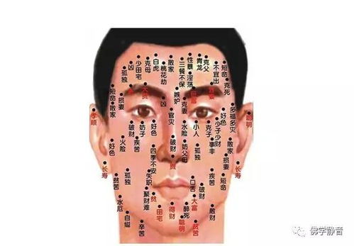 1.1 子孙运势与贵人相助