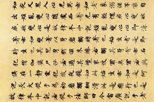 《善见律》所列四种“见”之具体内涵
