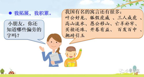 乐广之谜：误解与真实相的光辉