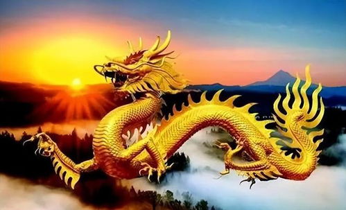 龙的三大属相贵人中，属虎的贵人具体指的是哪一类人？