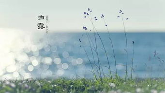 民间谚语与六甲雨水关联性解析