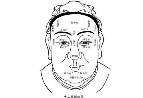 山根处留疤如何通过面相转运改写为长尾？