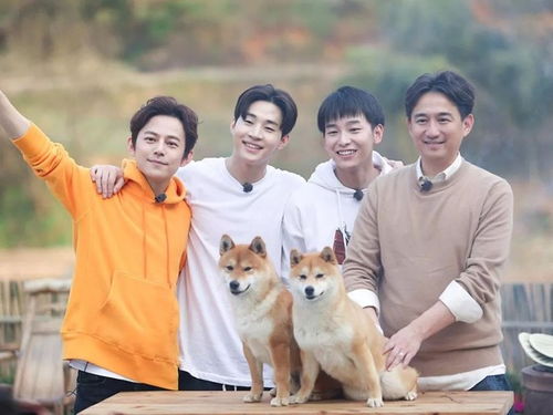 何炅八字命理中，向往的生活与黄磊何炅婚姻有何关联？