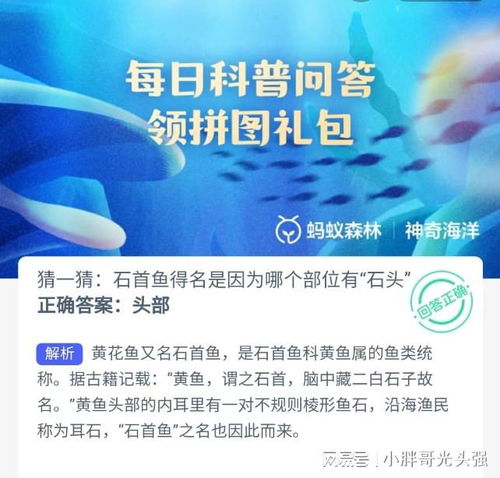 啊！那个神奇的