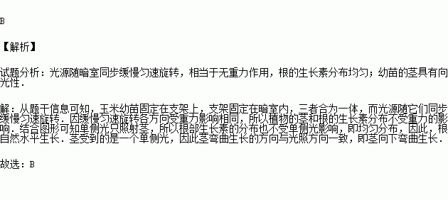 ：光与影的哲学思想思辨