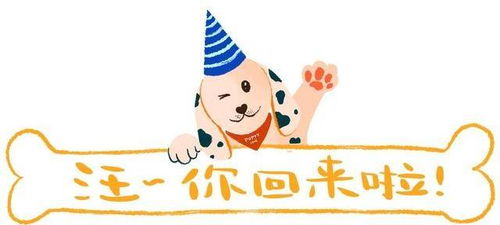 一、 生肖与年份的影响：黄历宜忌解读