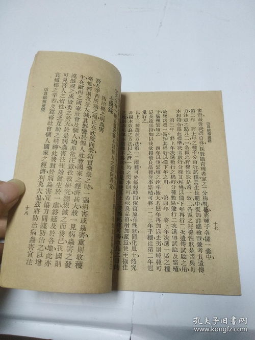 诸葛神算第300签是什么意思？请详细解释一下。