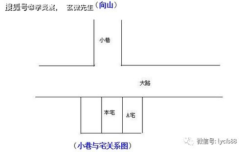 案例分析：某地的实地考察