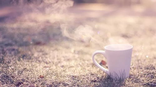 属牛：踏实稳重型