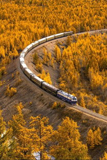 4.1 桦皮岭隧道：光影交错的黑洞实验室