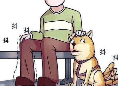 为什么我总是梦到自己拉了彳艮多屎？