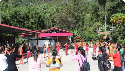 摘果子摘到手软还要防着堪门狗