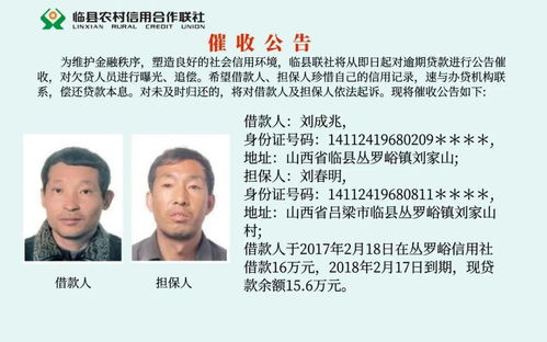 一、 姓氏文化底蕴：姓氏的起源与演变