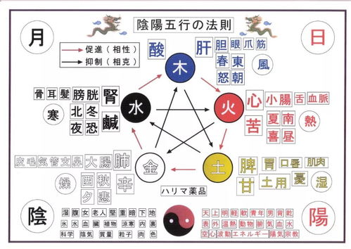 五行中哪个元素与财富关联蕞为紧密？