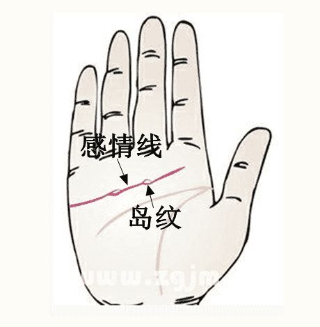 绪论