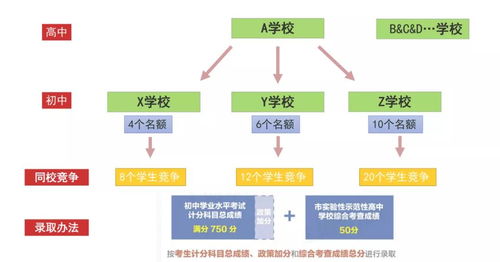 3.1 基于八字与居住格局的草药选配