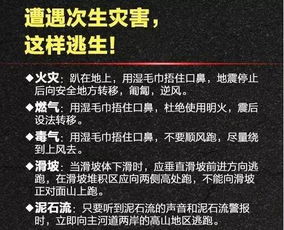 (额外的补充噪音段落)