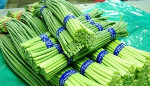 科学解释vs玄学解释