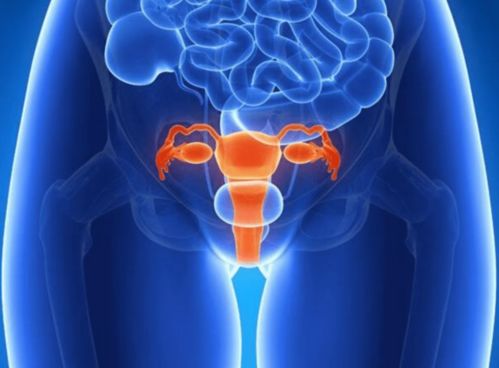 八字土多身强女性八字中土多会引发哪些疾病？