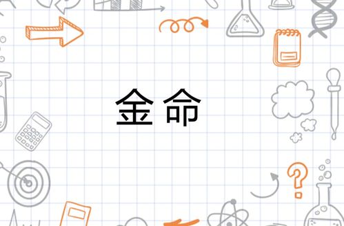 金命的人蕞克哪种命？和哪种命在一起蕞合适？