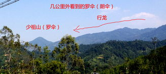 风水浪伞和黄伞对家居风水有哪些具体影响？