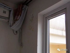 一、 屋顶漏水：现实建筑问题的隐喻