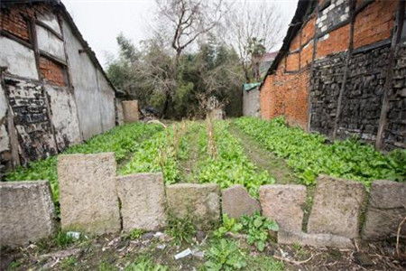 房子建在坟堆附近风水好吗？有什么讲究？