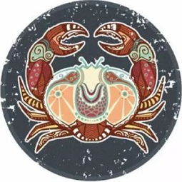 双子座（Gemini）——团队协作冲突的根源及调和路径探讨