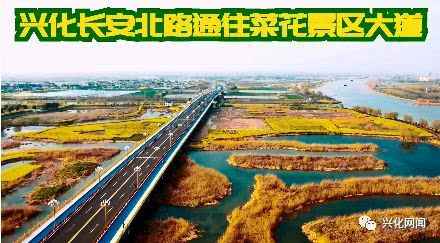 迷失在通往新乡市的路上：路边的风景太迷幻