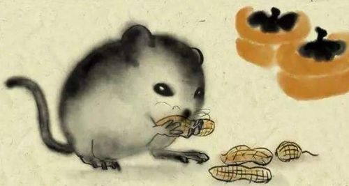 3.1 财务管理提议