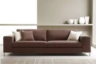 2. 沙发与大门形成直线冲突