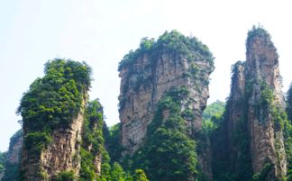 坑一：跟团“双高”听起来高大上，实则溢价50%